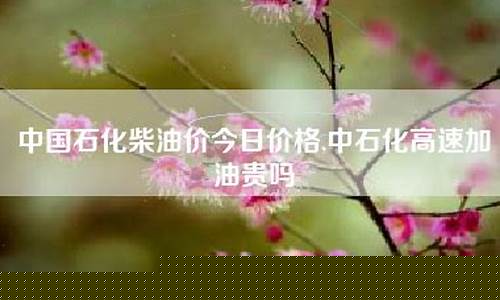 中国石化柴油价今日价格山东行情-中国石化柴油价今日价格山东行