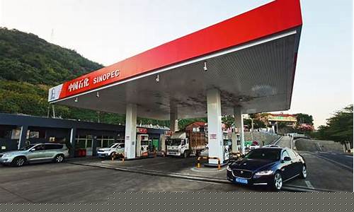 09年加油站0号柴油价格-09年加油站0号柴油价格是多少